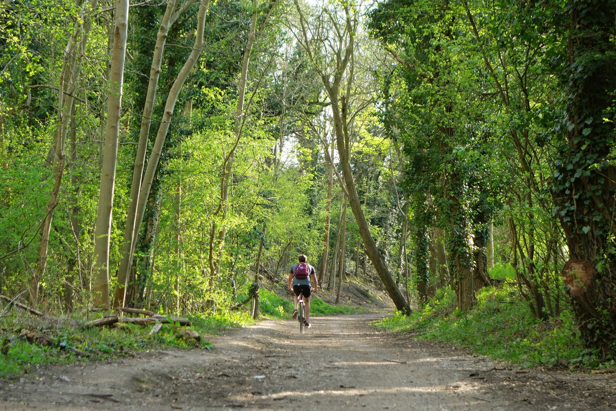 Morgan's Walk fields